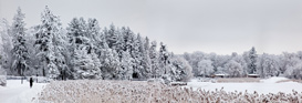 Lumikuvia Helsingistä
