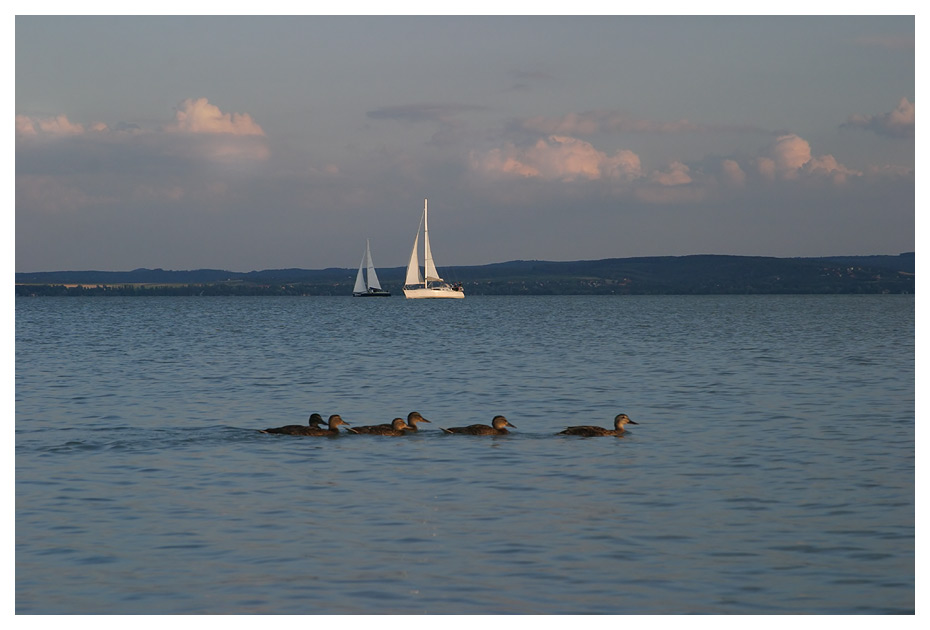  Balaton-jrvell auringon laskiessa. Matti Harju 2003.